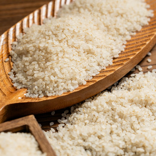 有机胚芽米| 源自东北黑土地核心产区，北纬42°黄金水稻种植带，生产与加工双有机认证，留胚率＞90%，蕴含稻谷80%的营养，软糯香甜，现磨现发，浓米汤补心气，500g*5袋⭐️中通/顺丰快递 商品图3