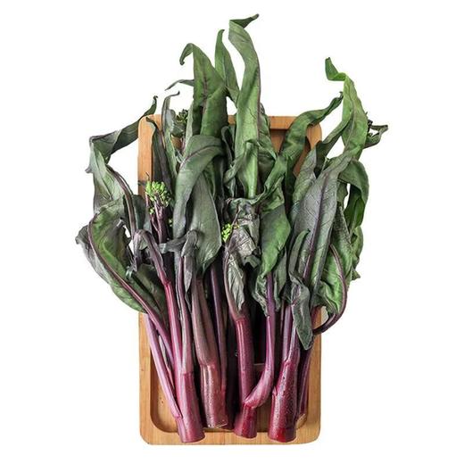 有机红油菜 250g/份 商品图2