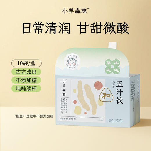 「五汁饮」日常茶饮 甘甜好喝  和口干舌燥说拜拜 果香 便携茶包 随时随地泡一包 温润不寒凉 祛寒存润 降苦增酸甘  壶煮 热泡冷泡 水饮 饮品 商品图0