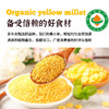 有机黄小米 商品缩略图3