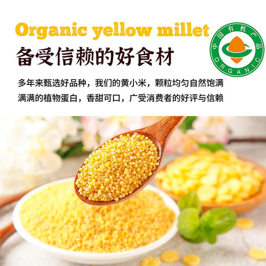 有机黄小米 商品图3