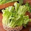 有机意大利生菜 250g/份 商品缩略图4