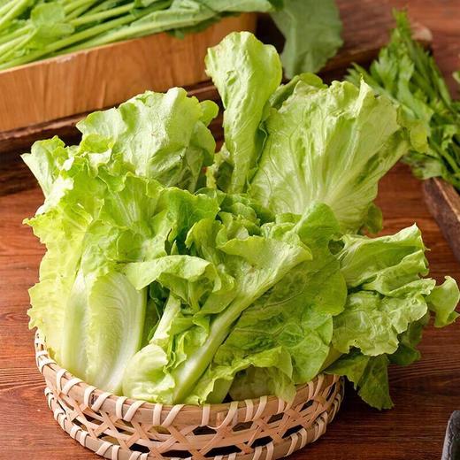 有机意大利生菜 250g/份 商品图4