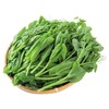 有机豌豆尖 200g/份 商品缩略图1