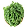 有机豌豆尖 200g/份 商品缩略图3