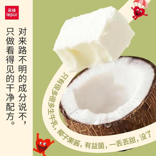 乐纯椰椰干噎酸奶100g 商品图3
