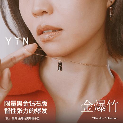 「怡」金爆竹红玉髓黑玛瑙18K金项链 商品图3