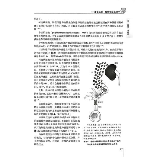 儿童实体器官移植实用手册 卢倩 叶俊生 解俊杰 主编 肾移植 儿童肾移植受者的诱导治疗 9787523531143 科学技术文献出版社 商品图4