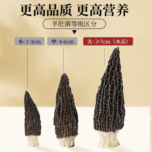 神农金康七星高照人参山珍海味礼盒620g鲍鱼元贝羊肚菌海鲜干货礼盒 商品图5