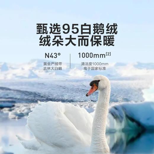 罗莱 智∙享航天分区蓄暖95白鹅绒 冬被 白色 商品图2