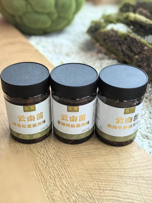 美味山珍菌酱|松茸菌+鸡枞菌+牛肝菌三种风味，源自云南原始森林，配料干净，无防腐添加剂，每一口都是天然野菌的鲜美，开罐即食，220克/瓶，3瓶/盒，礼盒装⭐️中通/韵达 商品图6