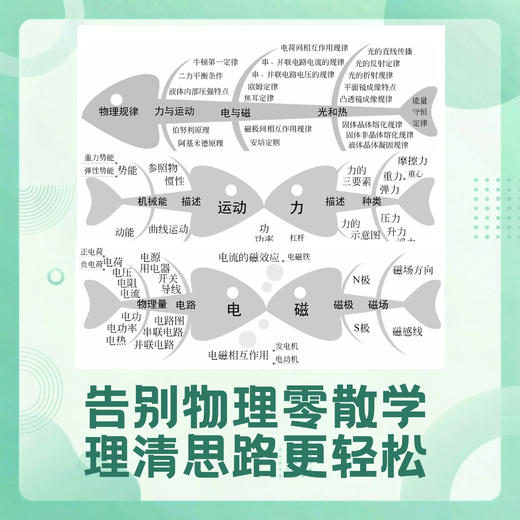 【名师推荐】理解数学+什么是初中物理+什么是初中数学 商品图3