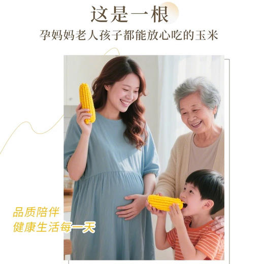 田里有草黄糯玉米袋装1.72kg 商品图2