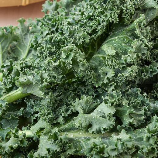 那云那南有机羽衣甘蓝 100g/份 商品图4