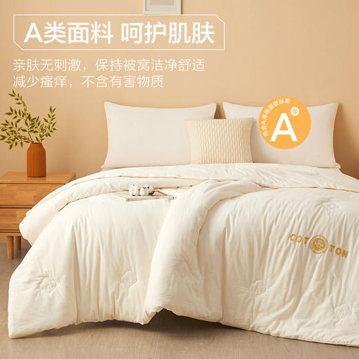 VP923133812011 博洋家纺 全棉棉花被水洗棉春秋被纯棉四季可用被子新疆棉被100棉花被芯【【净重约7斤】1.8-2米床/220*240cm】 商品图1