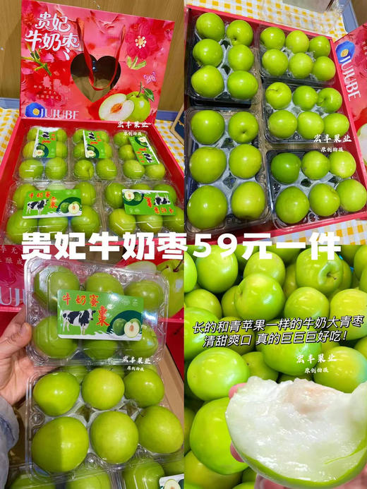 新年送礼 哈蜜瓜 芒果 青枣龙眼专用链接 商品图5