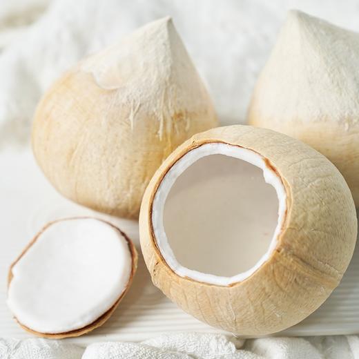 泰国奶香椰皇丨汁水清新甘甜细腻，椰肉白润鲜嫩，从外吃到内的水嫩，浓郁的椰香充盈口腔，⭐️顺丰快递，泡沫箱发货 商品图4