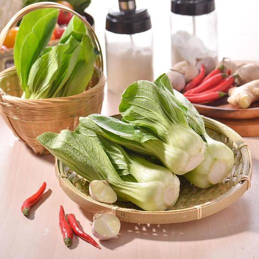 有机上海青 250g/份 商品图3