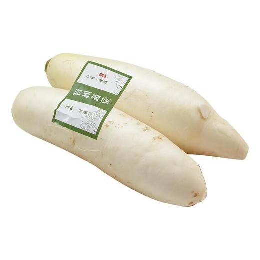 有机白萝卜 500g/份 商品图2