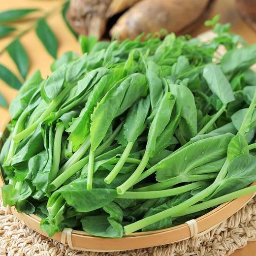 有机豌豆尖 200g/份 商品图0