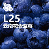 云南“育溪”L25花香蓝莓 马年特供礼盒装 1kg  精选新鲜水果顺丰特快包邮当季优质直发 商品缩略图6