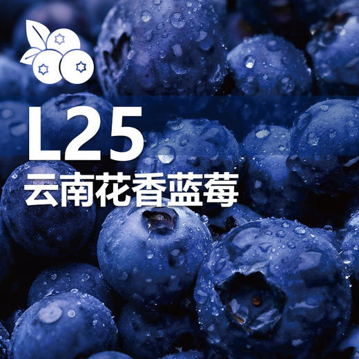 云南“育溪”L25花香蓝莓 马年特供礼盒装 1kg  精选新鲜水果顺丰特快包邮当季优质直发 商品图6