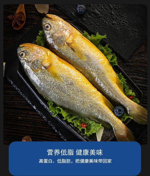 鲜活速冻锁鲜生态大黄鱼550g*3条 商品图5