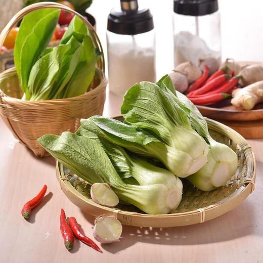 那云那南有机上海青苗 250g/份 商品图4