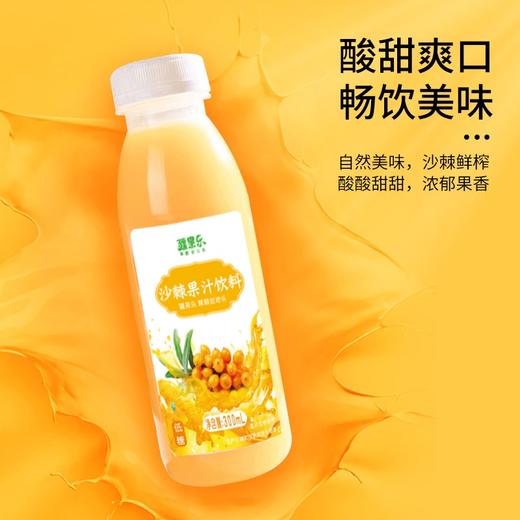 疆果乐沙棘果汁300ml*10 商品图3
