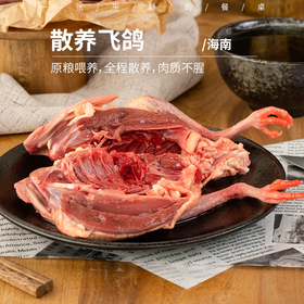 散养飞鸽| 五谷杂粮、原粮喂养 ，杜绝饲料/激素，每天放飞、回笼、全程散养放飞期间超2000个小时，肉质不腥。2只装/箱⭐️顺丰快递