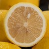 鲜柠檬丨个大新鲜不打蜡，已通过农残检测，欧盟有机认证GAP，⭐️中通快递 商品缩略图6