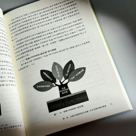 奠基未来 赋能学生多元发展的高中新探索 理想智库丛书ccc 商品图10