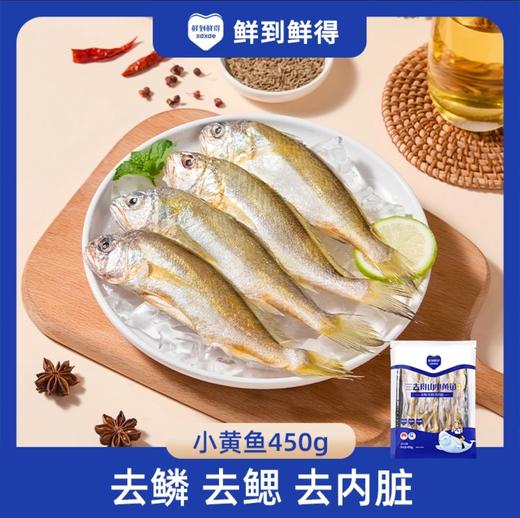 鲜到鲜得小黄鱼 450g/包 商品图2