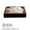 葛根粉 | 品种：粉葛，种植在野生环境生长的，对比柴葛，更适合长期食用，350g/罐⭐️顺丰快递 商品缩略图0