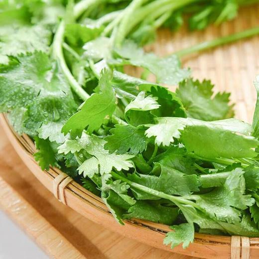 那云那南有机香菜 50g/份 商品图4