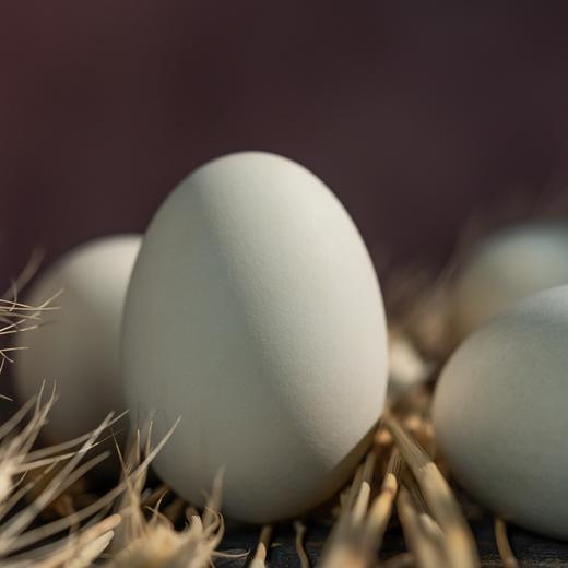 【开春限时福利❗ ❗ 】即食卤鹅蛋|山林散养鹅蛋，先卤后蒸，鲜香入味，咸淡适中，鲜而不腥，配料干净，开袋即食，8只装，16只装⭐️顺丰快递 商品图6