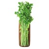 有机香芹 250g/份 商品缩略图2