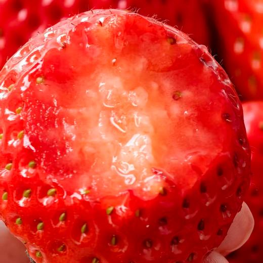 【建德草莓 助农帮扶 】馋了一年的建德红颜草莓甜蜜上市！现摘现发 顺丰直达，高颜值，香甜多汁！（中/大/特大果3盒净重2.8斤以上） 商品图5