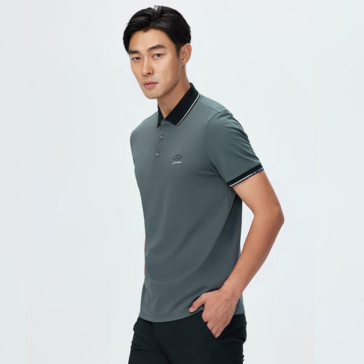 德鲨男士灰色短袖翻领T恤夏新款休闲撞色上衣男刺绣POLO衫 商品图2