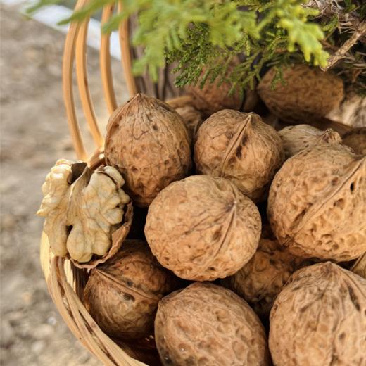 有机核桃丨云南古树结果，无人工干预，皮薄肉厚，香而不涩，果仁清脆，3斤/箱，⭐️中通/韵达快递 商品图2