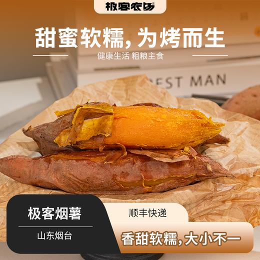 极客烟薯鲜果| 今年新鲜烟薯地瓜，个头大小不一，摘掉网套阴凉通风保存，水分大，到货会有个别发芽情况⭐️顺丰快递 商品图0