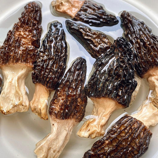 羊肚菌（干货）| 可以煲汤，红烧，炒、炖、蒸，烹饪后满屋飘鲜，⭐️中通/韵达随机 商品图6