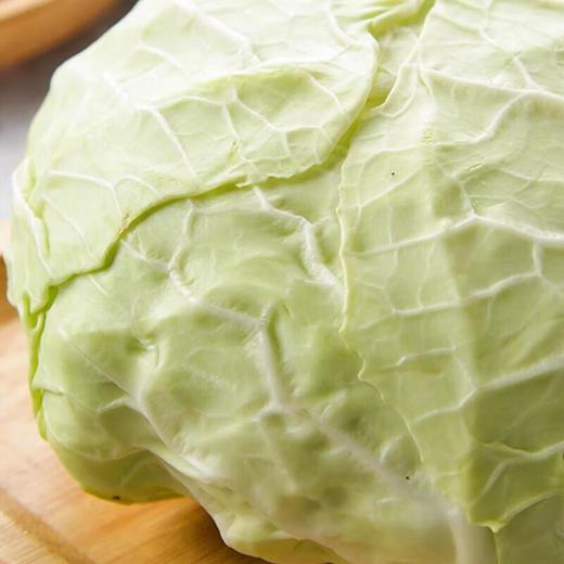 那云那南有机水果甘蓝 500g/份 商品图3
