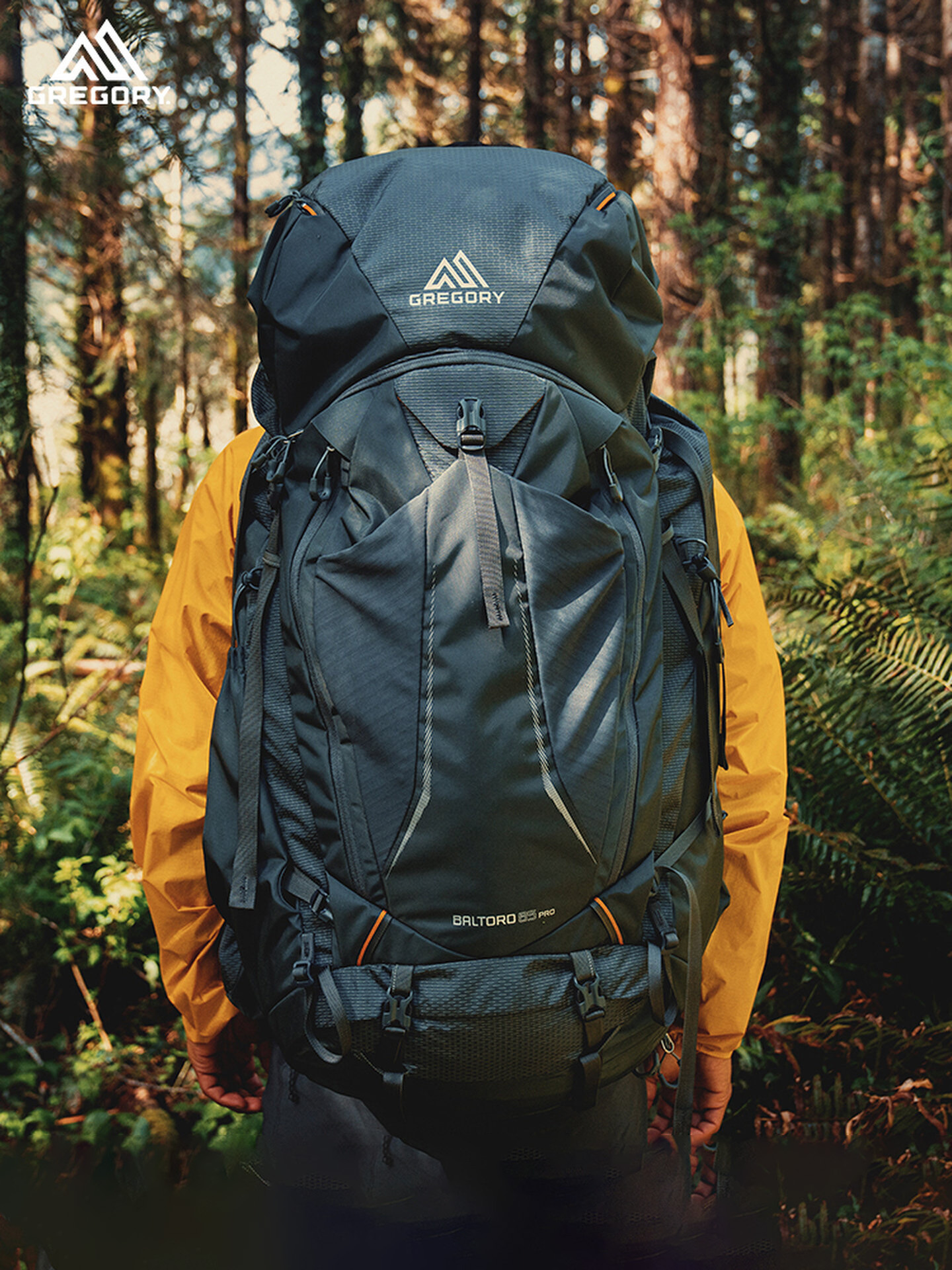 26款GREGORY格里高利BALTORO穿岳B65 B75大容量重装徒步登山背包