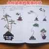 官网 盆景制作与养护图解 松井孝 盆景的乐趣和看点 盆景不枯萎的管理诀窍 盆景的修剪和养护要点 制作盆景教程书籍 商品缩略图3