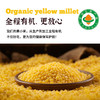 有机黄小米 商品缩略图4