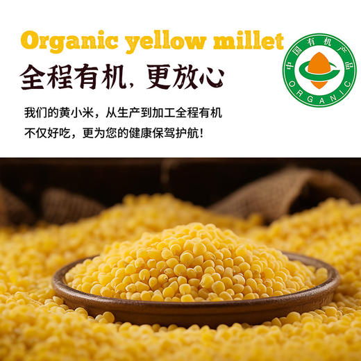 有机黄小米 商品图4