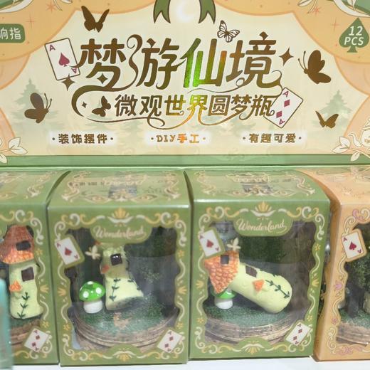 XZ-54636梦游仙境圆梦瓶 商品图0