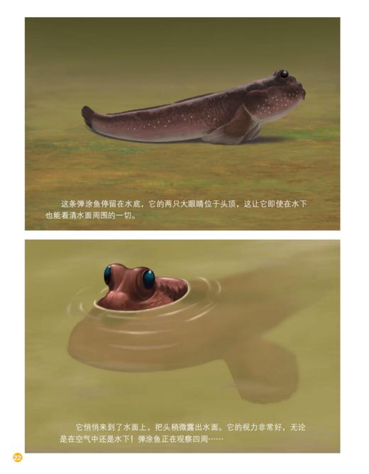 《童话王国·玩转地球》2026年12期征订（共10本）【赠随机过刊1本】 商品图7