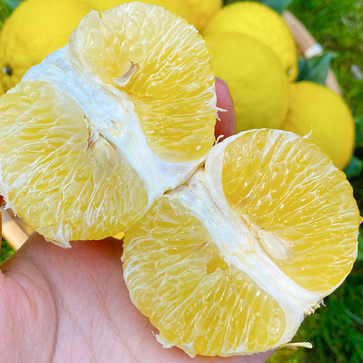 黄金贡柚丑丑的外表甜甜的”内心“果型扁圆色泽金黄 柚香浓郁清香甘甜口感独特送礼馈赠佳品 商品图4